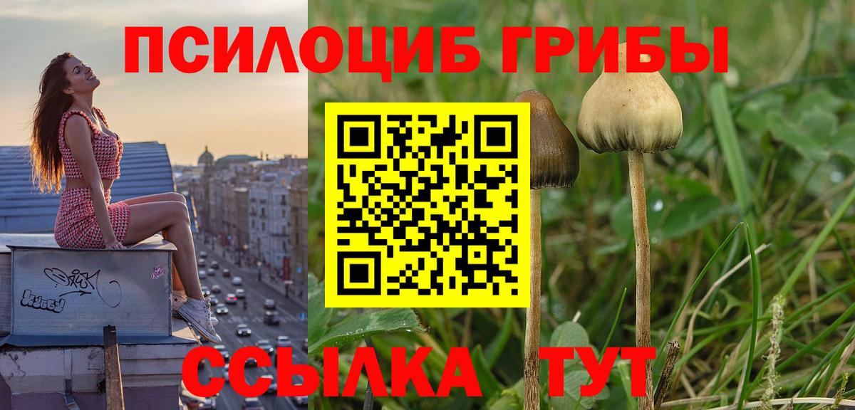 Псилоцибиновые грибы MAGIC MUSHROOMS Бугуруслан