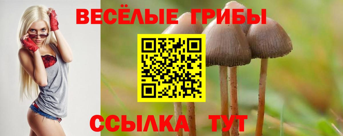 Галлюциногенные грибы Magic Shrooms  Галлюциногенные грибы MAGIC MUSHROOMS  Вход с VPN  Бугуруслан 